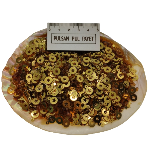 Pleksi Pul Model 274 7x10 mm Renk 101 Metalik Altın