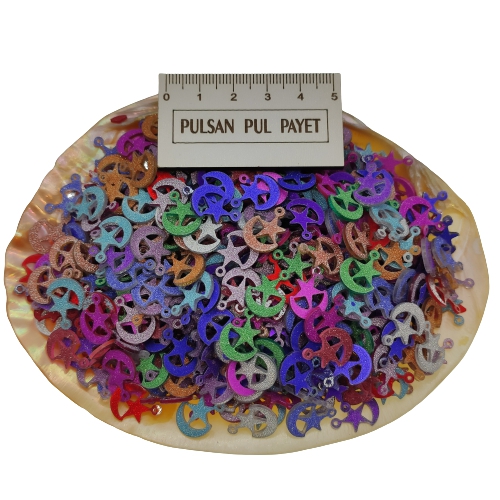 Pleksi Pul Model 298 10x15 mm Renk 500 Simli Karışık