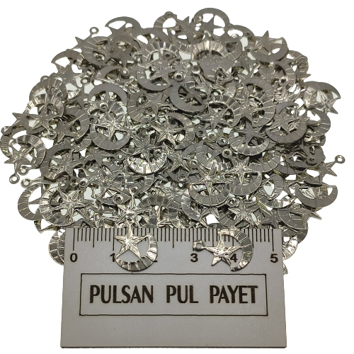 Metal Pirinç Pul Model 298 10x15 mm Nikel